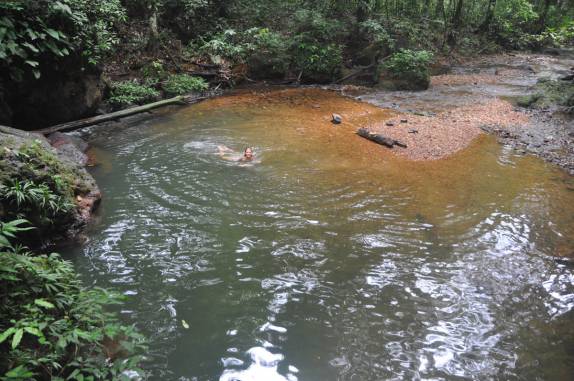 Delicioso banho no Witti Creek, na Reserva Natural de Brownsberg, no Suriname